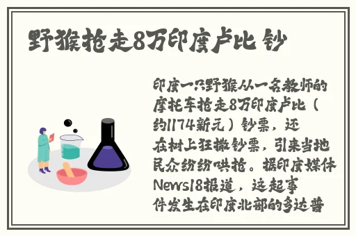 国产区日产区17c
